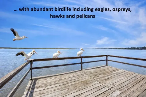 95766 Wilder Boulevard Fernandina Beach FL 32034