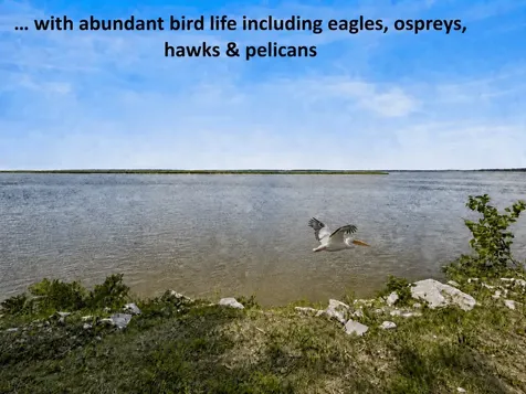 Lot 24-3 Wilder Boulevard Fernandina Beach FL 32034