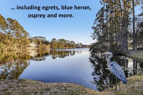 1637 Olmsted Lane Fernandina Beach FL 32034