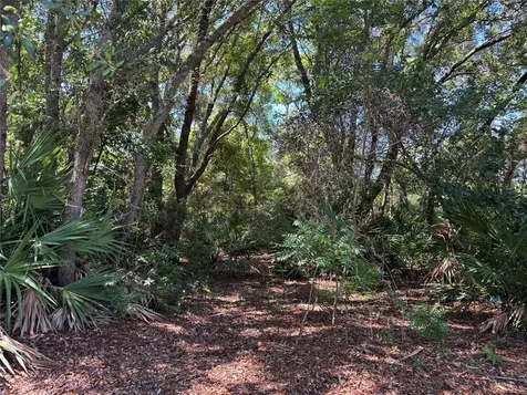 0 Park Avenue Fernandina Beach FL 32034