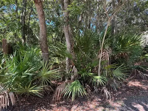 0 Park Avenue Fernandina Beach FL 32034