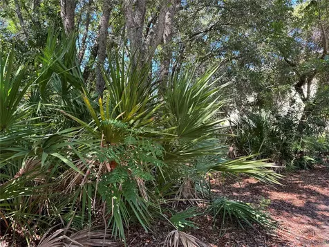 0 Park Avenue Fernandina Beach FL 32034
