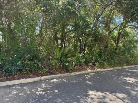 0 Park Avenue Fernandina Beach FL 32034