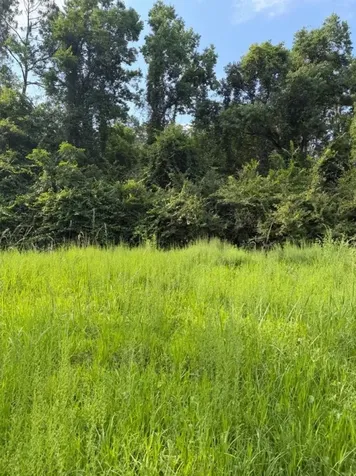 54350 Church Road Callahan FL 32011