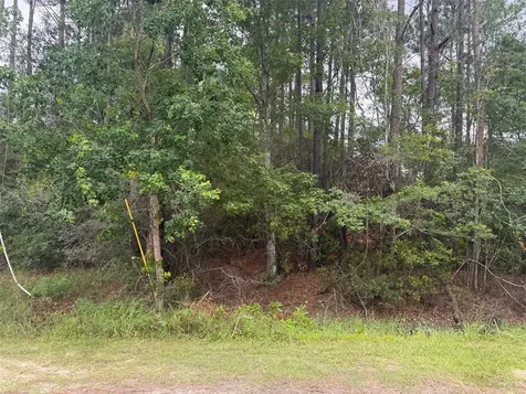 N Village Green Jacksonville FL 32234