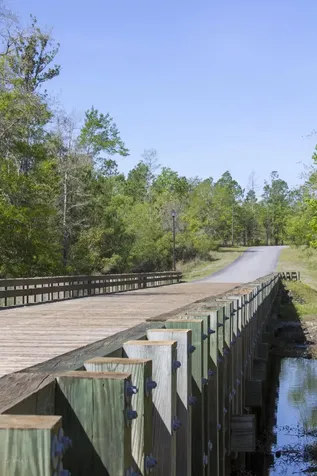 15433 Bullock Bluff Road Bryceville FL 32009