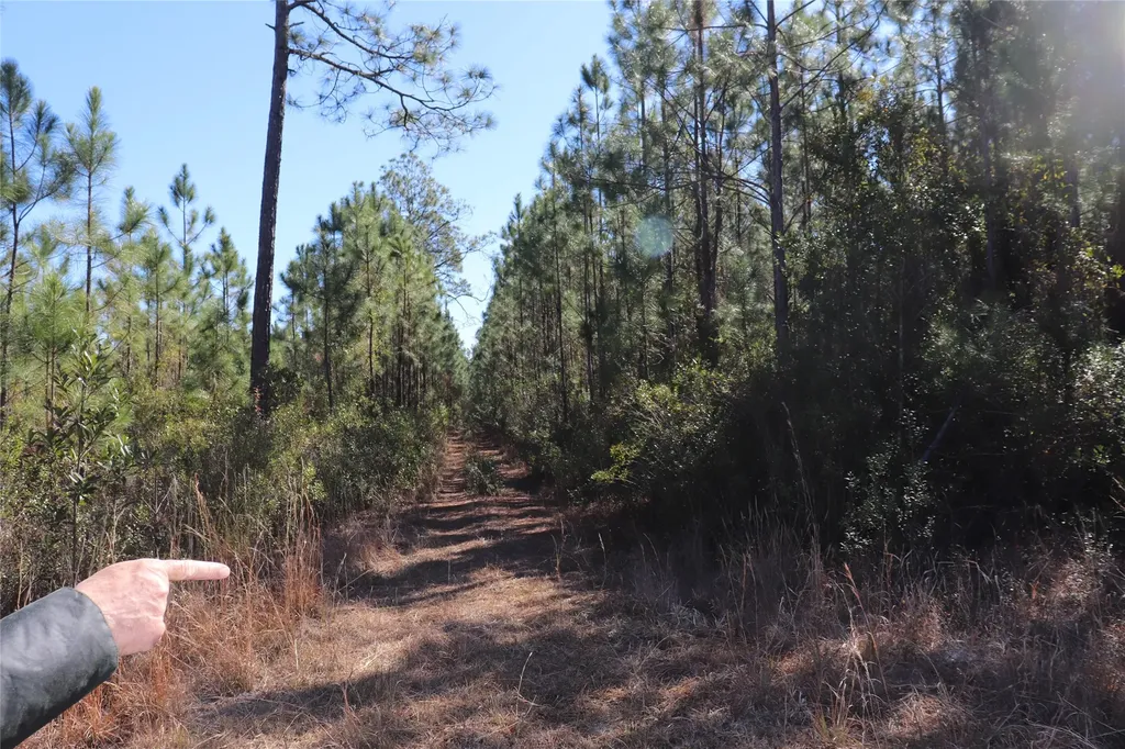 0 Georgia Street Hilliard FL 32046