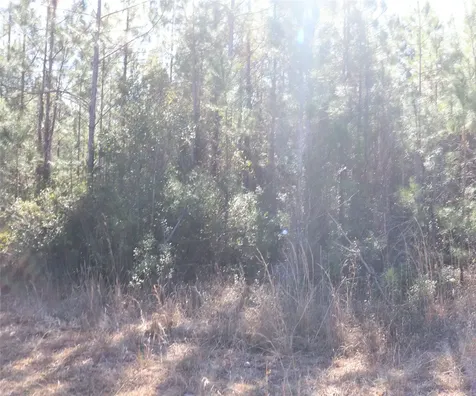 0 Georgia Street Hilliard FL 32046