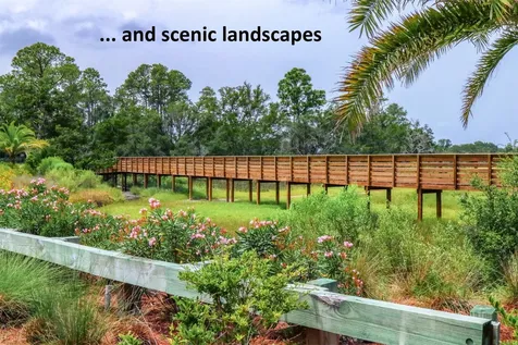 2940 S Sea Grape Drive Fernandina Beach FL 32034