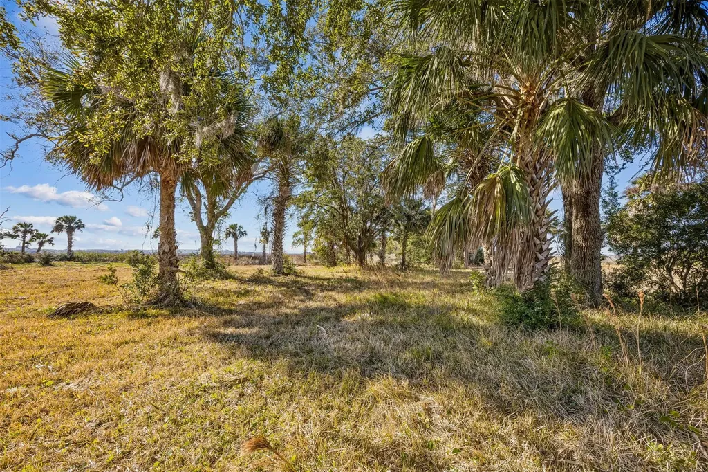 0 Woodmans Cove Lane Jacksonville FL 32226