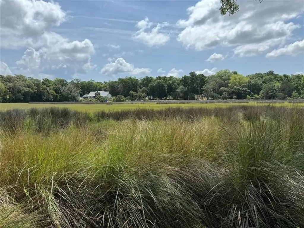 29078 Grandview Manor Yulee FL 32097