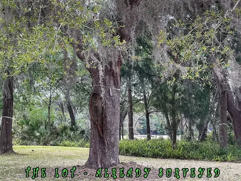 29078 Grandview Manor Yulee FL 32097