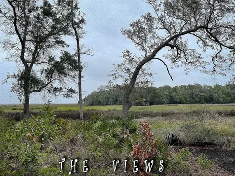 29078 Grandview Manor Yulee FL 32097