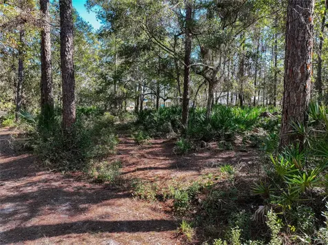 96249 Lang Road Yulee FL 32097