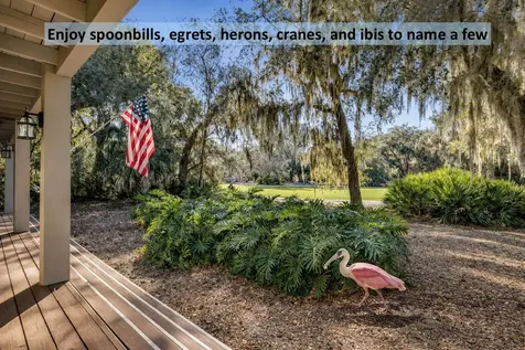 21 Painted Bunting Fernandina Beach FL 32034