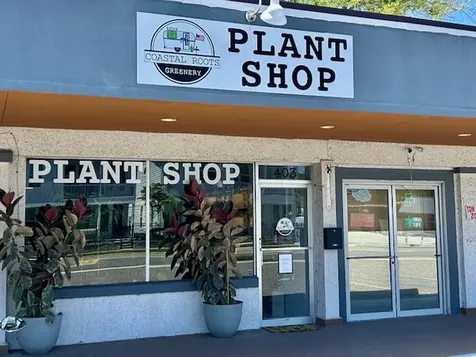 403 S 8th Street Fernandina Beach FL 32034