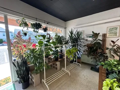 403 S 8th Street Fernandina Beach FL 32034
