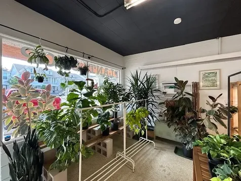 403 S 8th Street Fernandina Beach FL 32034