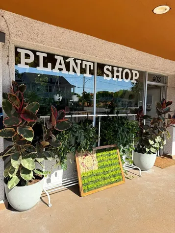 403 S 8th Street Fernandina Beach FL 32034