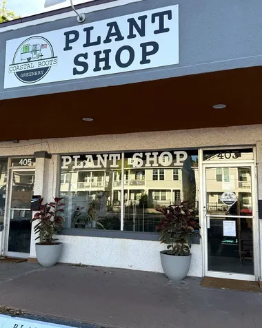 403 S 8th Street Fernandina Beach FL 32034