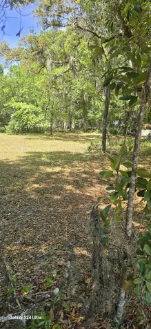 0 Fir Street Fernandina Beach FL 32034