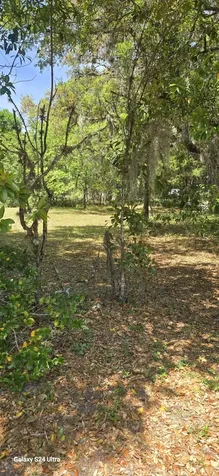 0 Fir Street Fernandina Beach FL 32034