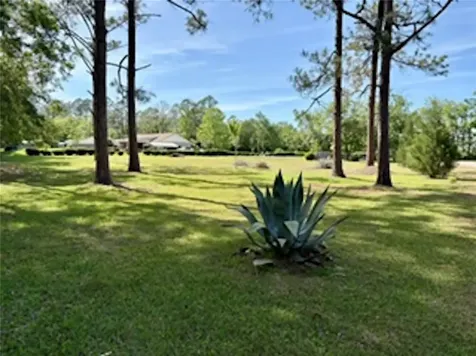 28058 Davidon Place Hilliard FL 32046