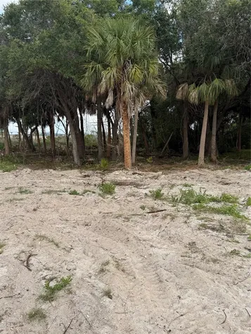 9110 Woodsman Cove Lane Jacksonville FL 32226