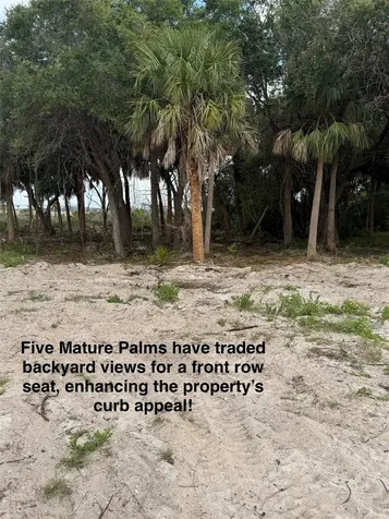 9110 Woodsman Cove Lane Jacksonville FL 32226