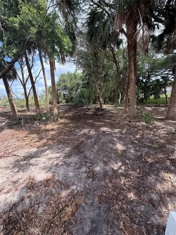 9110 Woodsman Cove Lane Jacksonville FL 32226