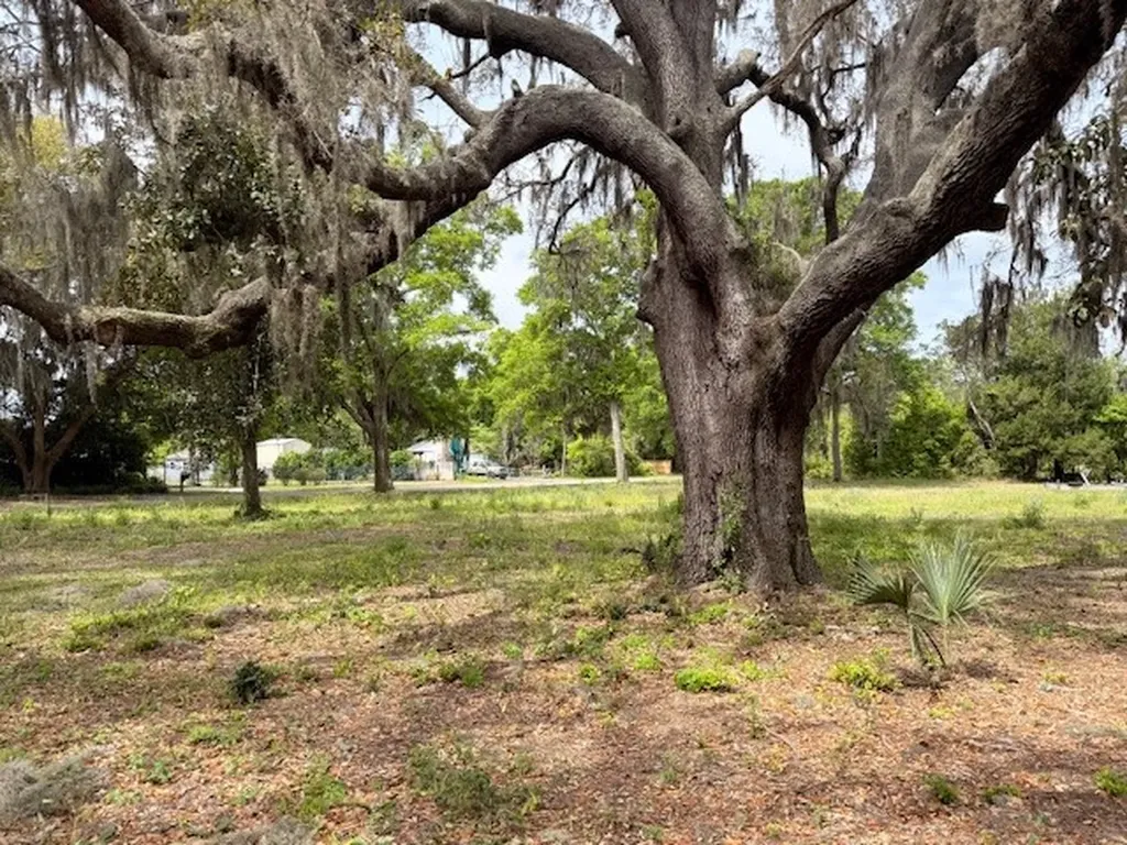 95177 Cook Road Fernandina Beach FL 32034