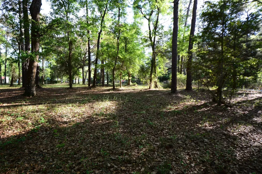 Parcel 6 Peeples Road Yulee FL 32097