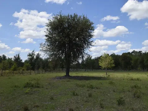 18126 County Road 121 Bryceville FL 32009