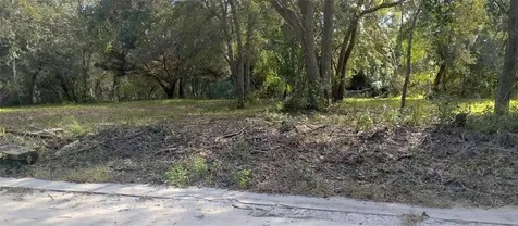 Lot 5 Someruelus Street Fernandina Beach FL 32034