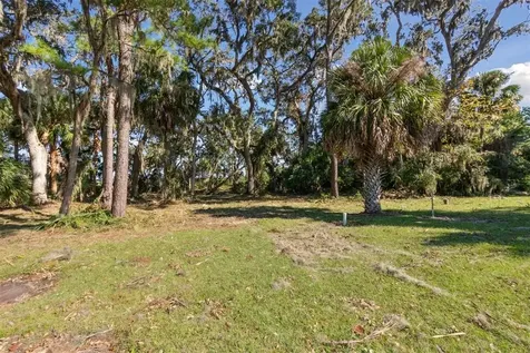 96634 Soap Creek Drive Fernandina Beach FL 32034