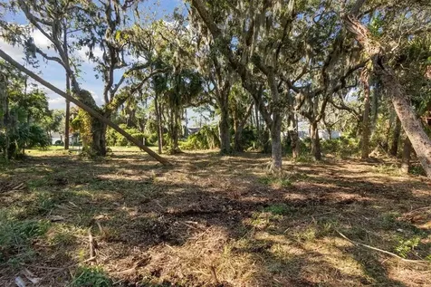 96634 Soap Creek Drive Fernandina Beach FL 32034