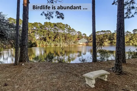1637 Olmsted Lane Fernandina Beach FL 32034