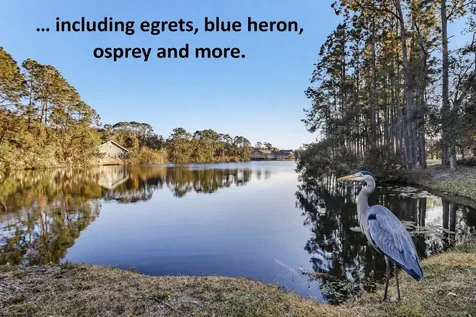 1637 Olmsted Lane Fernandina Beach FL 32034