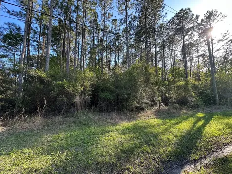 Lot 28-30 Radio Avenue Yulee FL 32097