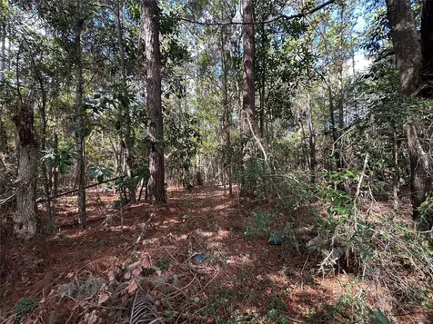 Lot 28-30 Radio Avenue Yulee FL 32097