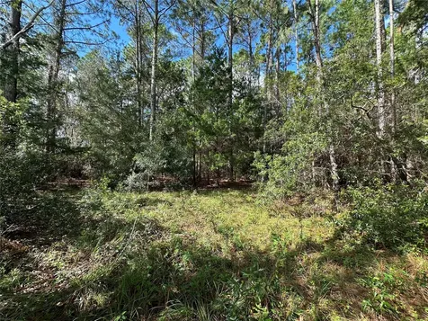 Lot 28-30 Radio Avenue Yulee FL 32097