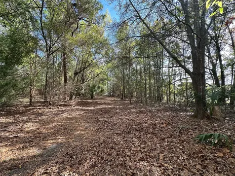 Lot 40-41 Radio Avenue Yulee FL 32097