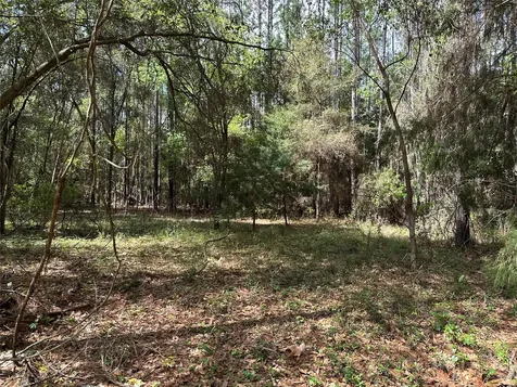 Lots 25-30 33-37 40-41 Radio Avenue Yulee FL 32097