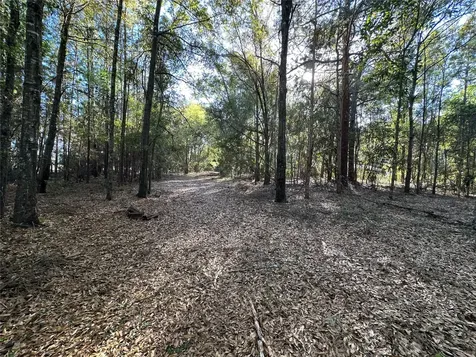 Lots 25-30 33-37 40-41 Radio Avenue Yulee FL 32097