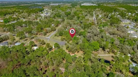 95587 Leo Drive Fernandina Beach FL 32034