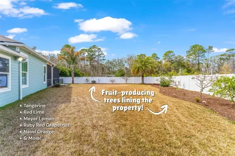 95343 Creekville Drive Fernandina Beach FL 32034