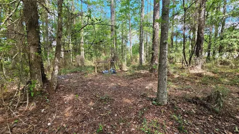 6324 Lannie Road Jacksonville FL 32218
