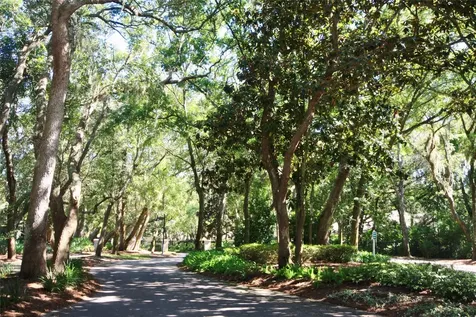 5242 Sea Chase Drive Fernandina Beach FL 32034