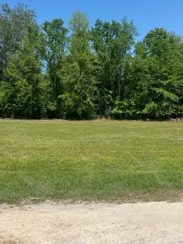 2749 Parmenter Road Bryceville FL 32009