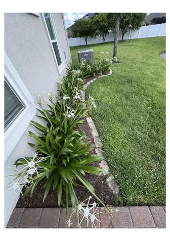 84046 Avriett Way Fernandina Beach FL 32034